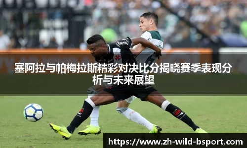 塞阿拉与帕梅拉斯精彩对决比分揭晓赛季表现分析与未来展望