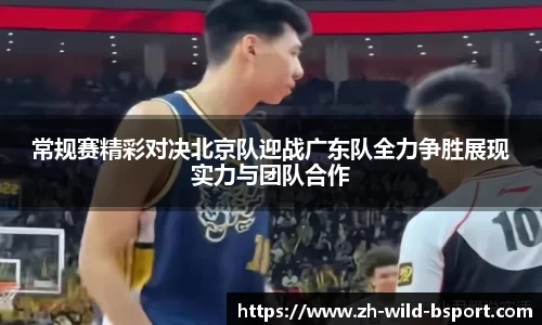 b体育